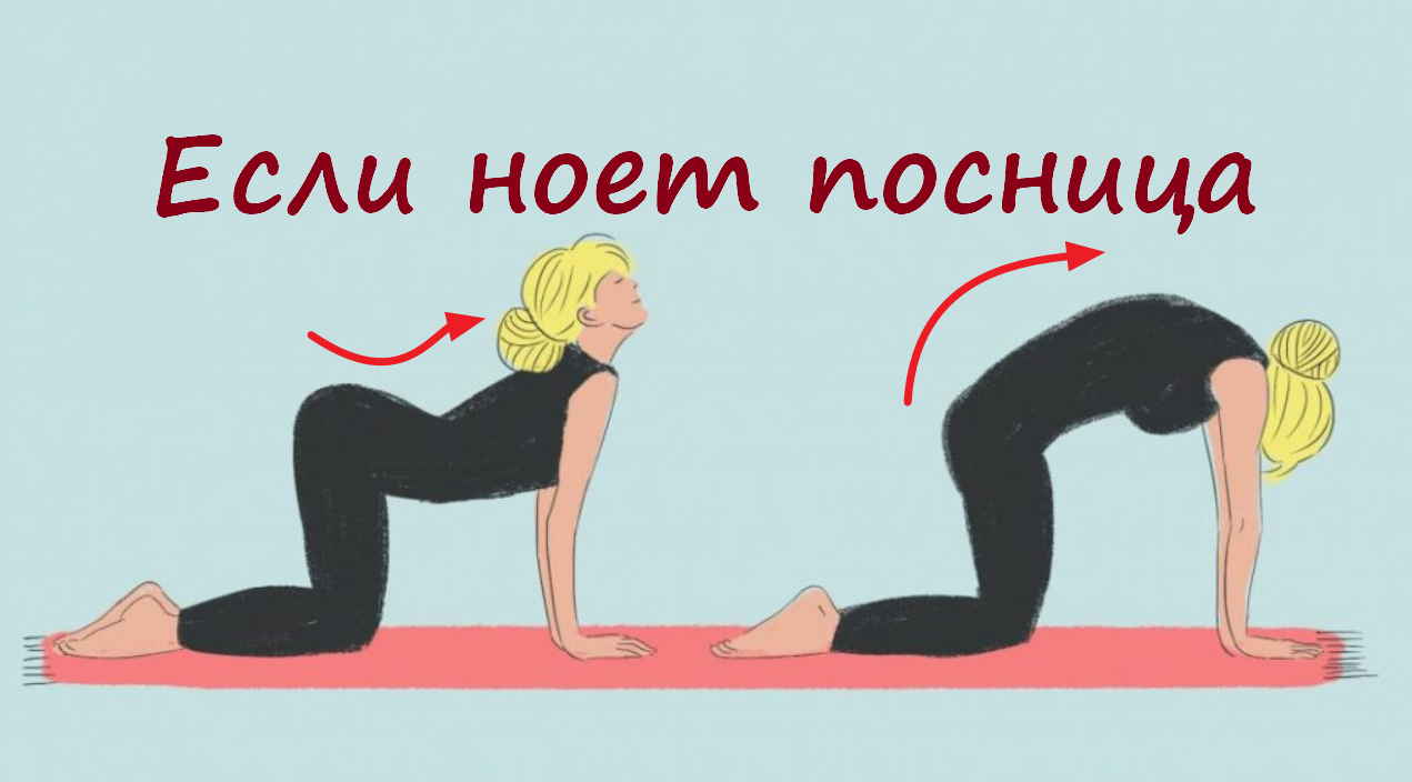 Ноет поясница? Три простых упражнения, чтобы ее "успокоить"