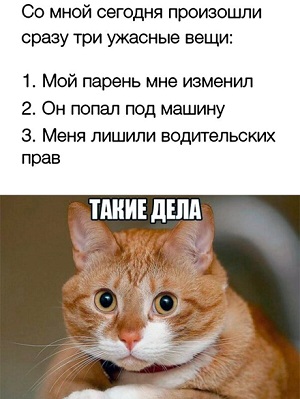 - Дорогая! Твоё 