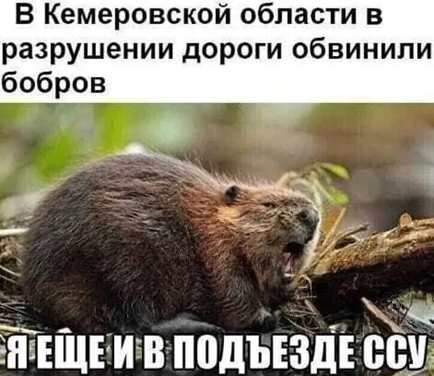 - Ты чего развёлся-то со своей? - У меня оказалась непереносимость выноса мозга