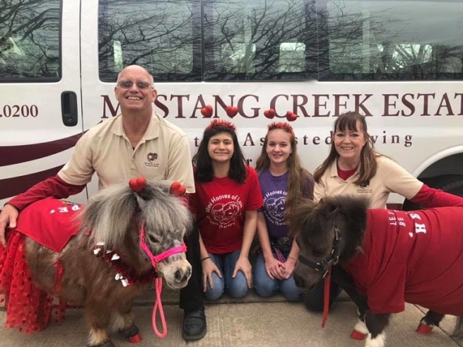Занимаясь разведением пони, люди планировали организовывать шоу, но просьба тяжело больной девочки все изменила истории из жизни