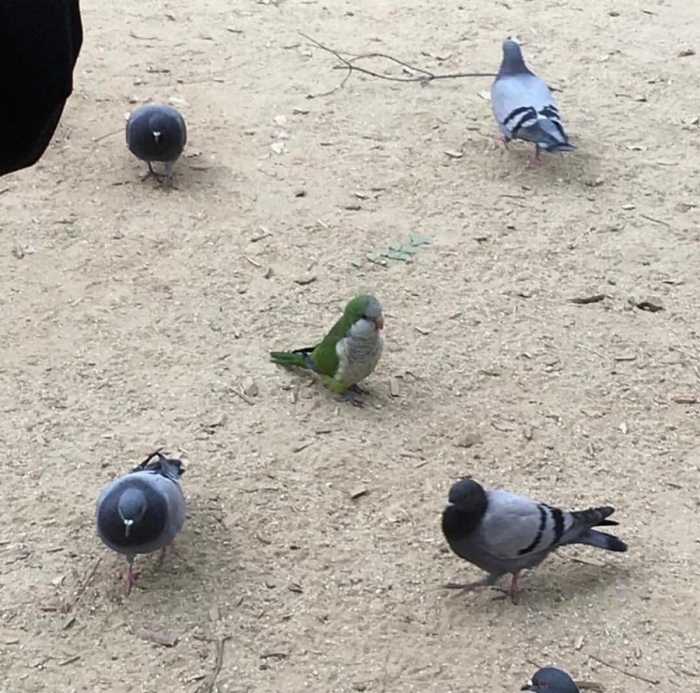 Фотоподборка 