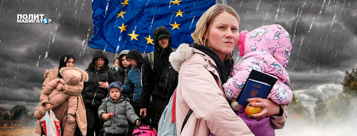Украинские беженцы везут в Европу липовые справки и инфекции геополитика,украина