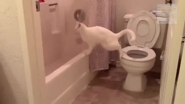 Миссия провалена или что-то пошло не так