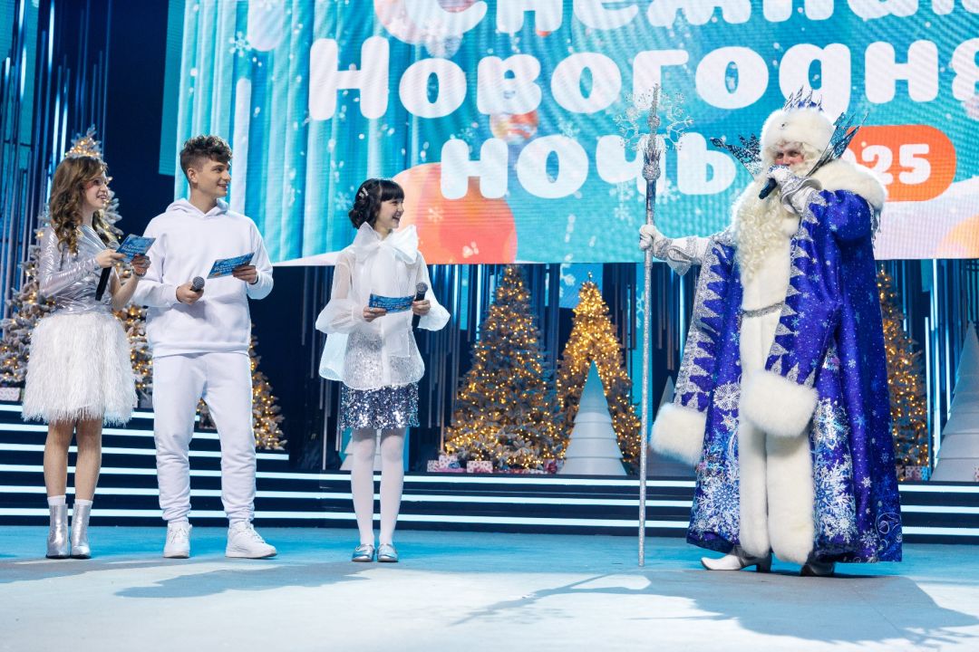 Снежная новогодняя ночь 2025