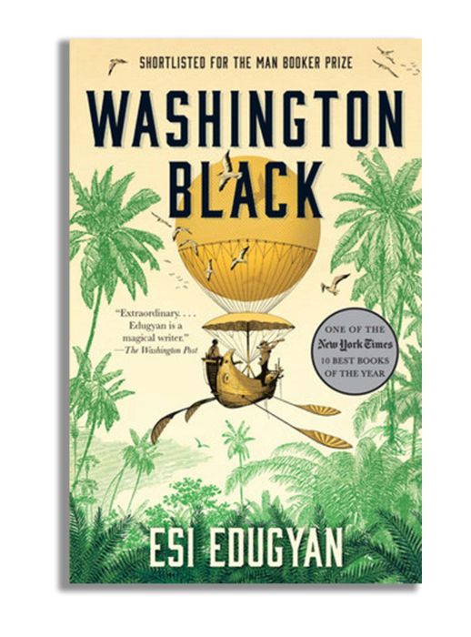 «Washington Black», Эси Эдугян. / Фото: www.bookpeddler.ng