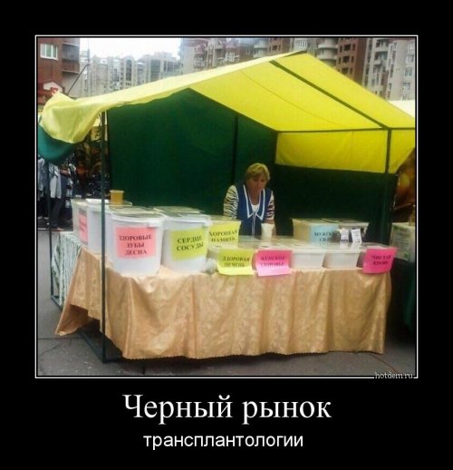 Новые демотиваторы для всех (13 шт)