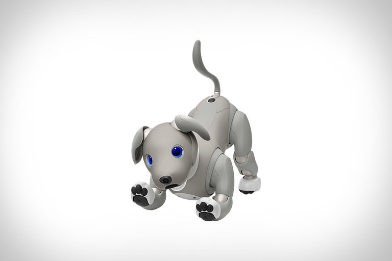 Sony Aibo Black Sesame Robot Dog