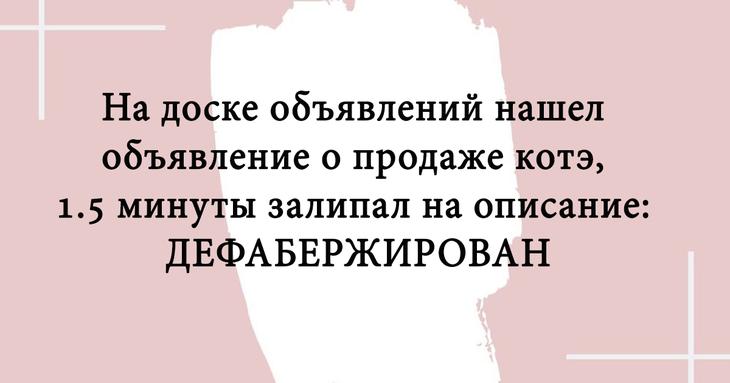 Двадцать отборных шуток, которые непременно поднимут настроение 