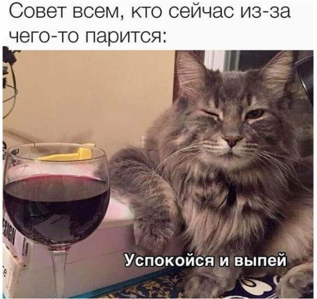 Приколы про алкоголь от пользователей социальных сетей 