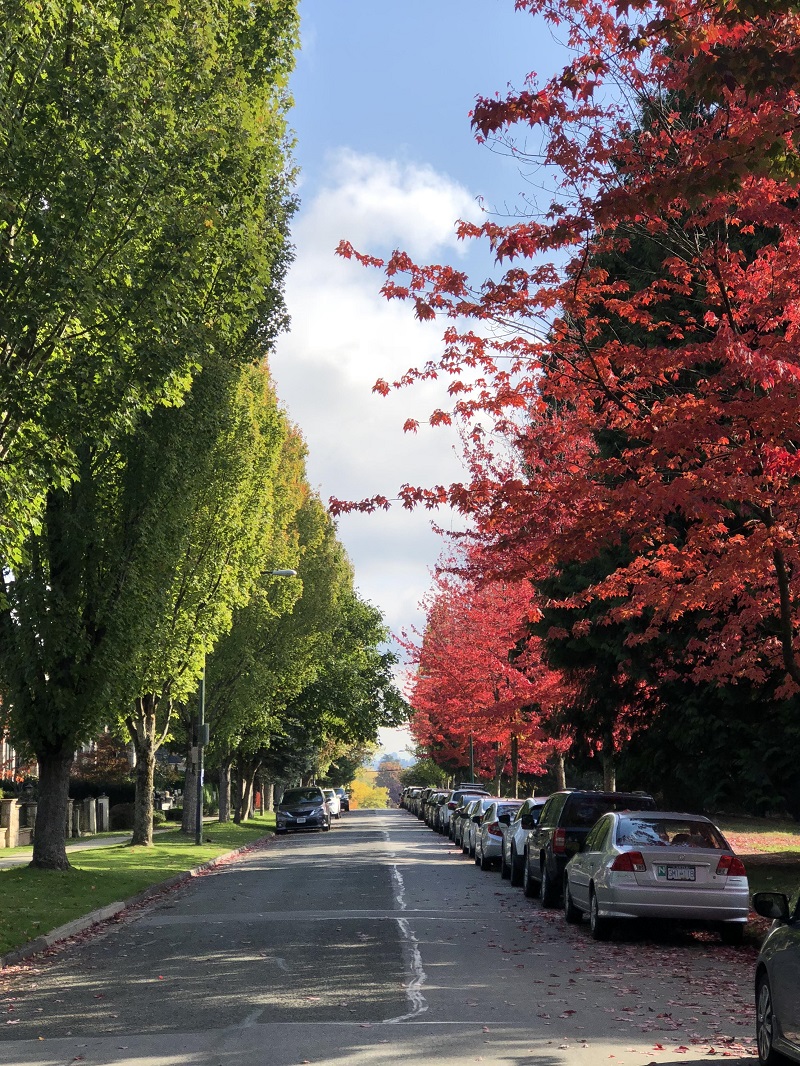 Ни капли Фотошопа! 30 фотографий, от которых замирает сердце Ни капли Фотошопа! 30 фотографий, от которых замирает сердце интересное