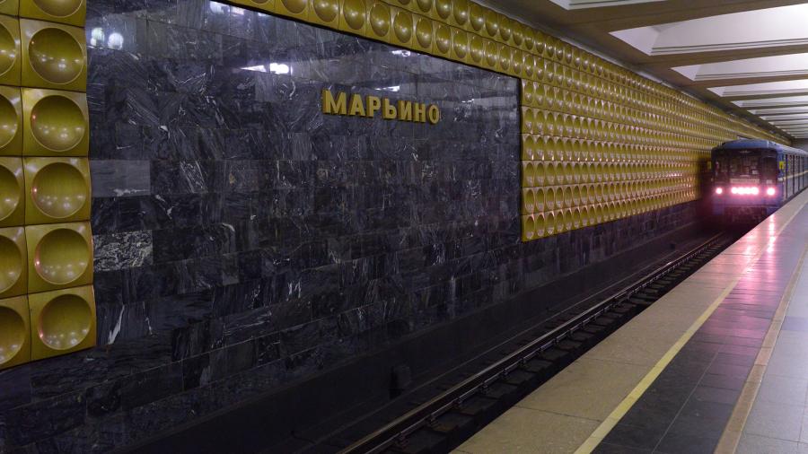 Машинист спас упавшую на пути на станции метро «Марьино» собаку
