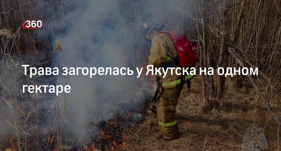МЧС: пожар на Зеленом Лугу у Якутска охватил площадь в 1 гектар