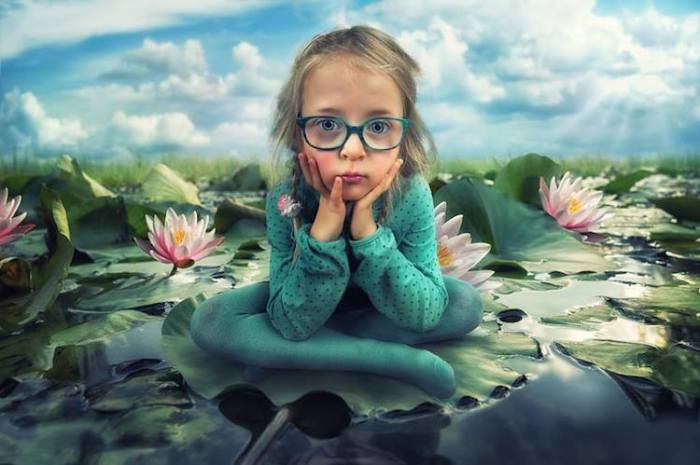 Лилии. Автор: John Wilhelm.