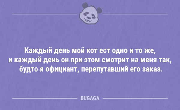 Пятничные анекдоты 