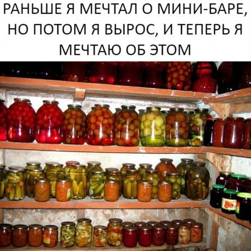 Анекдоты дня анекдоты