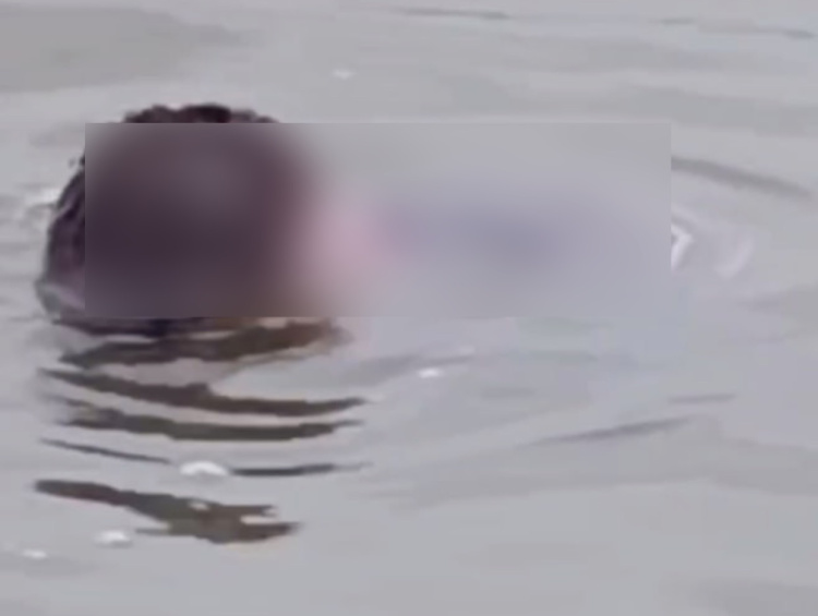 Так и не доплыл до берега: в Тимашевске нашли тело утонувшего парня
