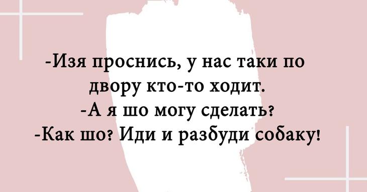 Двадцать отборных шуток, которые непременно поднимут настроение 