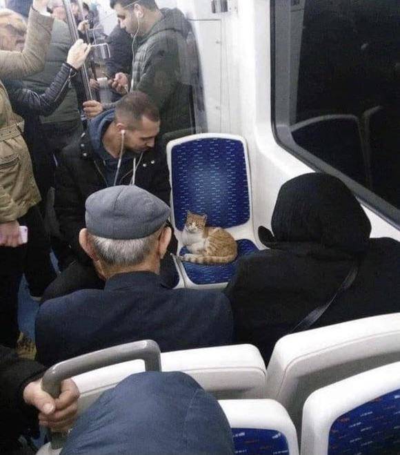 Подборка прикольных картинок  приколы,смешные картинки,юмор