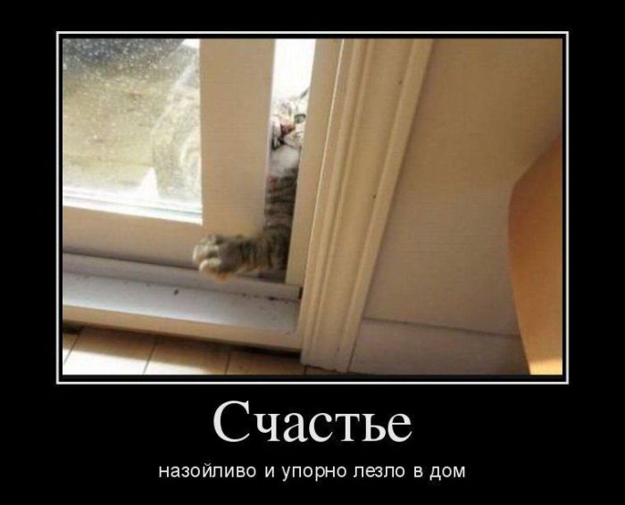 Зачетные и смешные демотиваторы из нашей жизни со смыслом веселые демотиваторы ржака