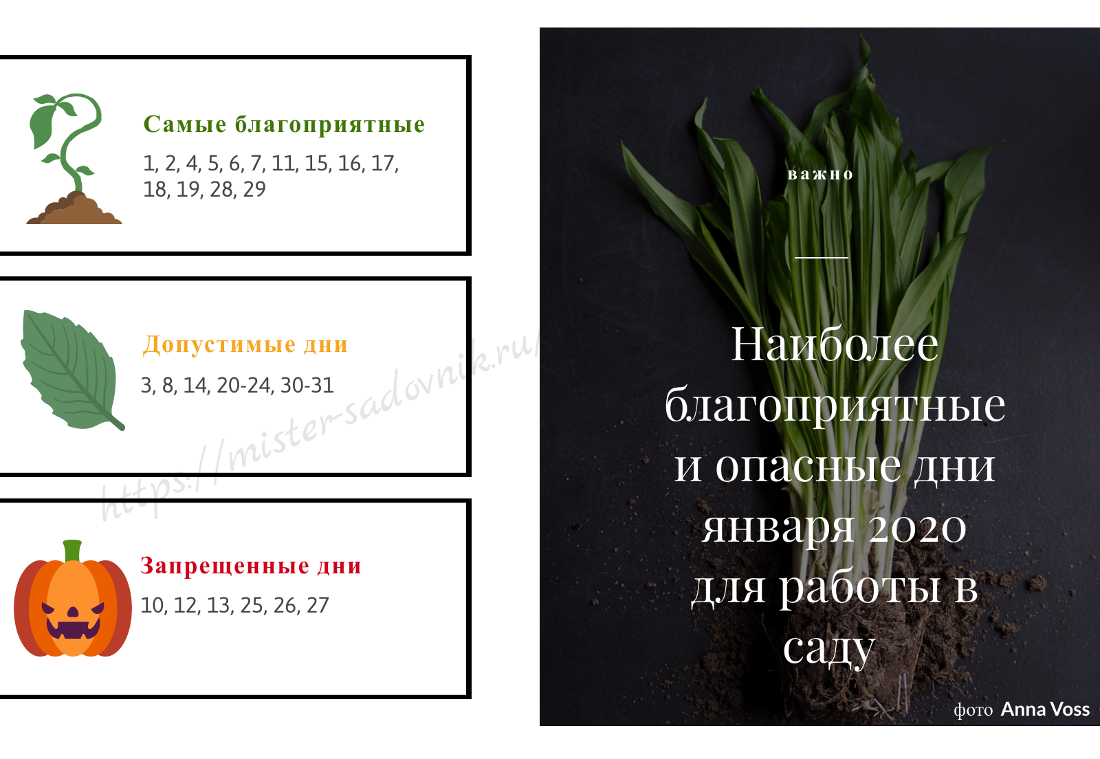 Лунный календарь огородника на январь 2020 года лунный, января, деньБлагоприятный, работы, семян, деньМожно, растениями, ЧтЛуна, ПтЛуна, комнатные, растений, растения, ВсЛуна, СбЛуна, ВтЛуна, ПнЛуна, комнатных, СрЛуна, ОвнеРастущая, провести