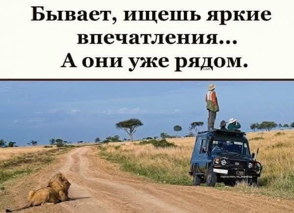 Отдых — это когда устаёшь в красивом новом месте 