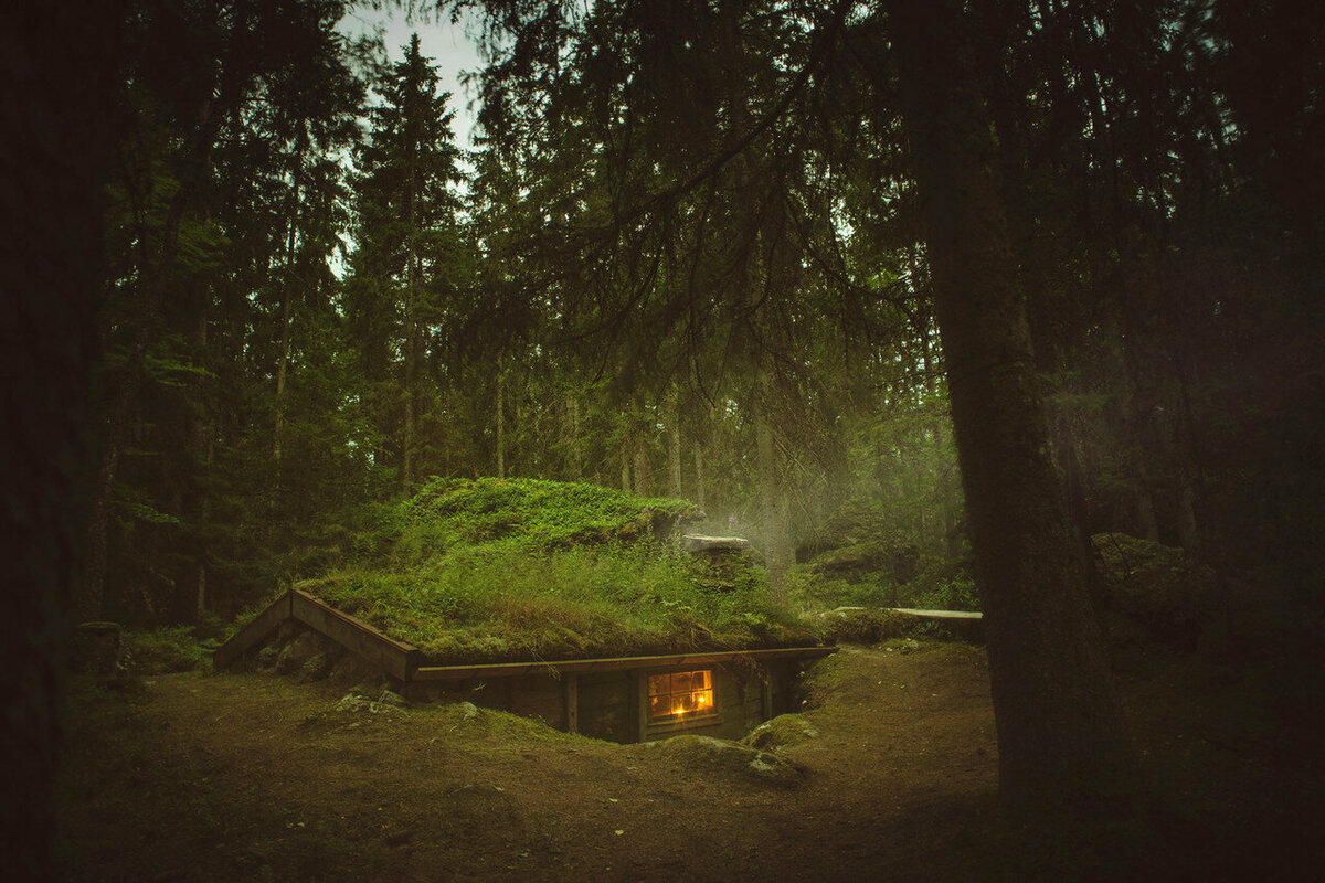 Домик в лесу