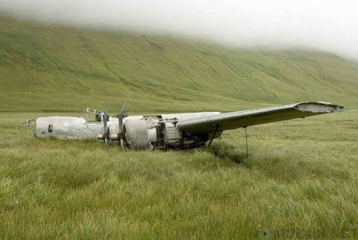 Исторические находки: где и как обнаруживали заброшенные самолеты времен Второй мировой войны война и мир