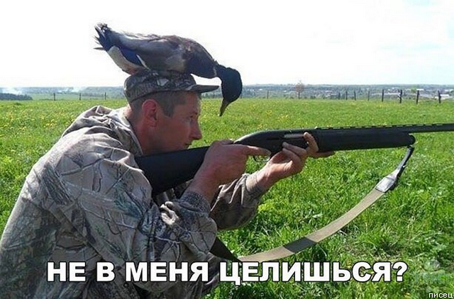 Смехотерапия дня. Кайфуем вместе!