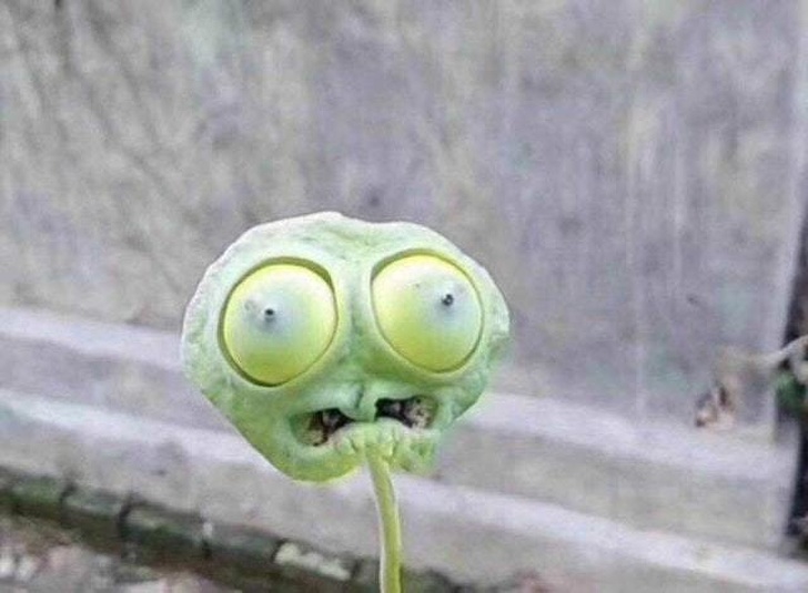 16 фото, после просмотра которых вы будете знать о женщинах чуть больше (Но это неточно) 16 фото, после просмотра которых вы будете знать о женщинах чуть больше (Но это неточно) девушки