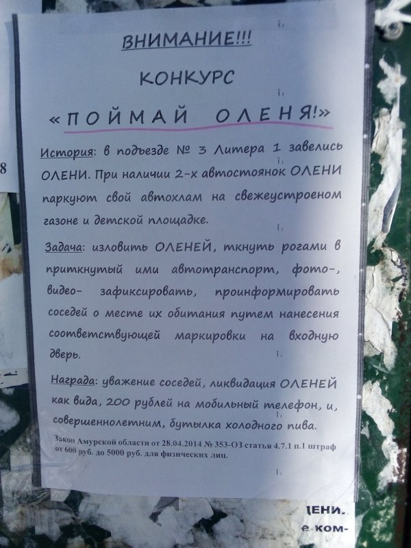 Внимание, конкурс!