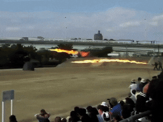 Интересные гифки 17 января 2022 года