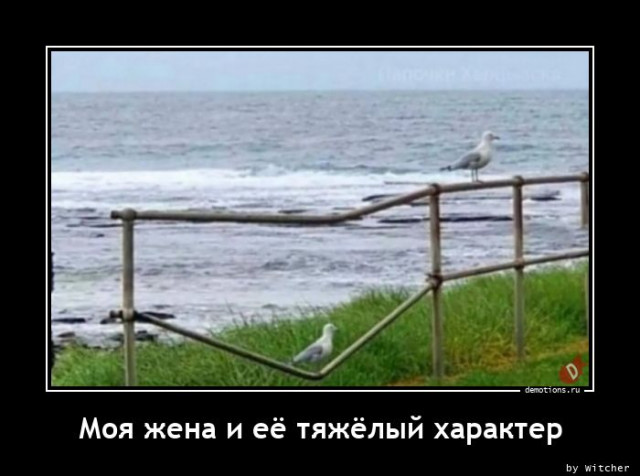 Очередная порция прикольных демотиваторов на любой вкус для поднятия настроения! Очередная порция прикольных демотиваторов на любой вкус для поднятия настроения!