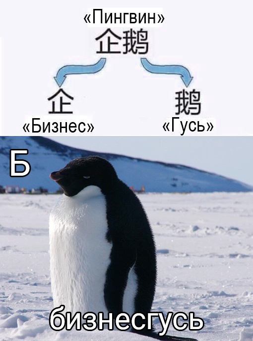 Юмор из интернета 756 Юмор из интернета 756 позитив,смех,улыбки,юмор