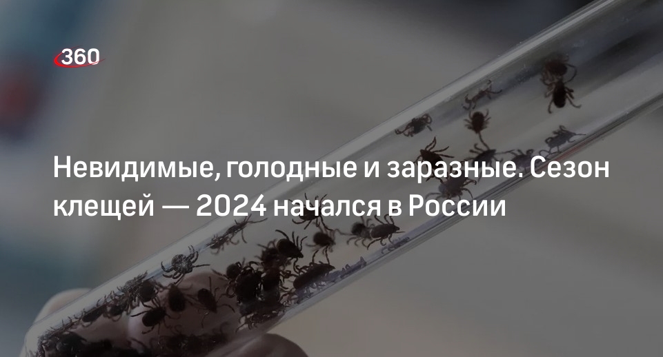 Сотрудник биофака МГУ Марьинский: пик активности клещей начнется в апреле