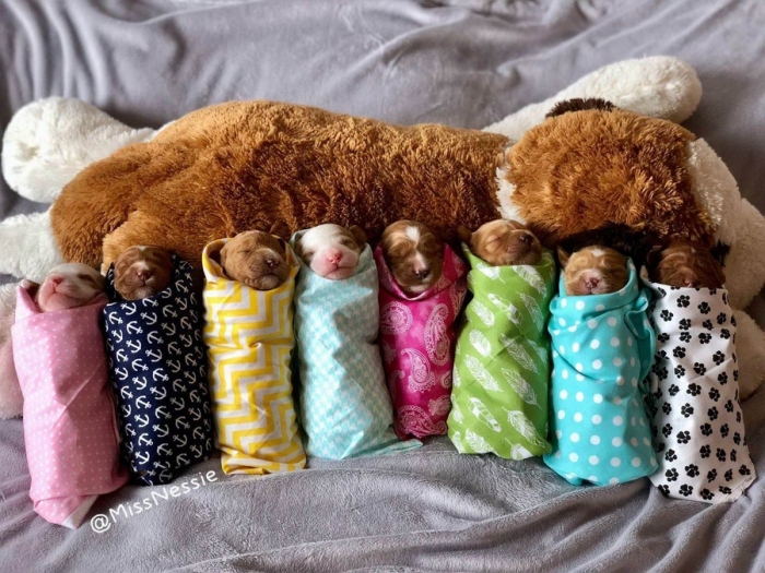 Фотоподборка 