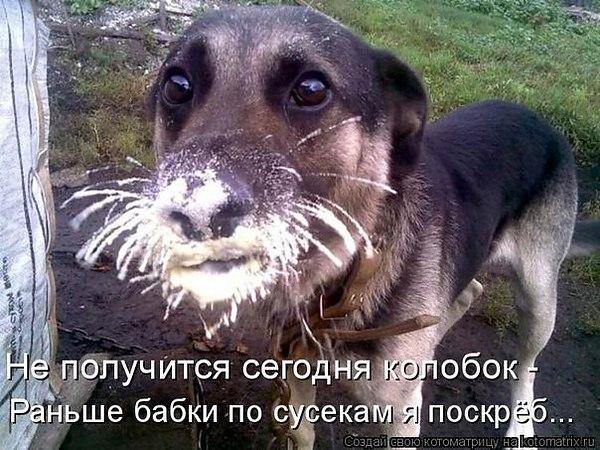 Давайте улыбаться вместе :) Давайте улыбаться вместе :)