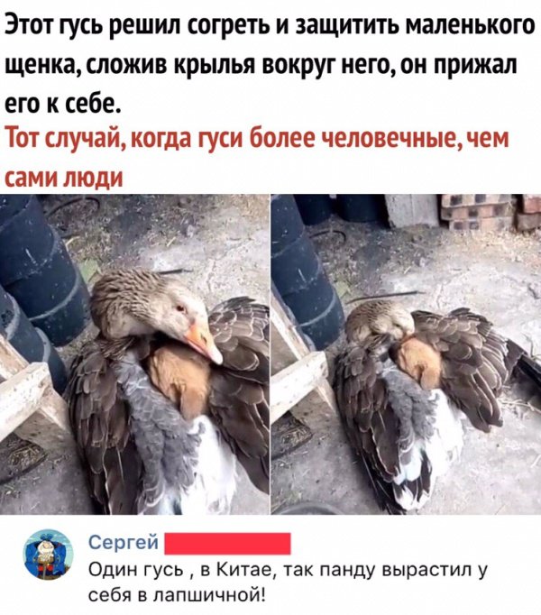 Интересная Фотоподборка выходных Интересная Фотоподборка выходных