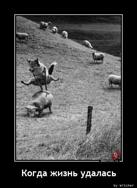 Прикольных демотиваторов коллекция 