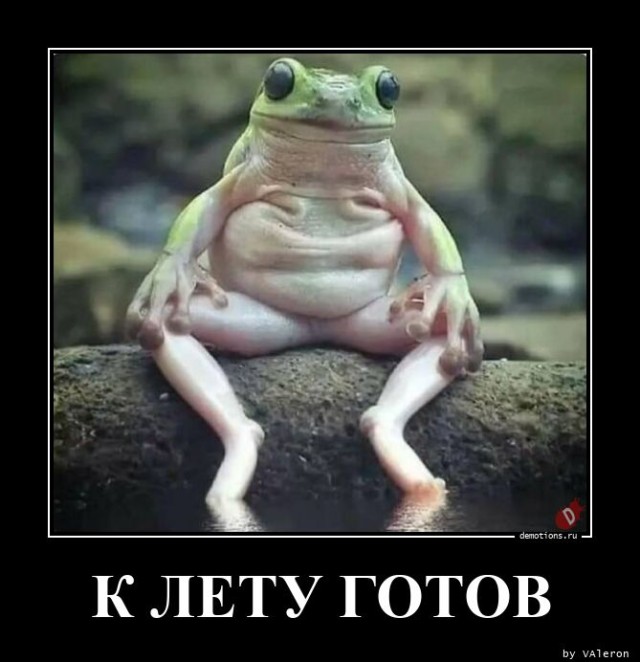 Демотиваторов пост: «Если мужа плохо кормить...» 