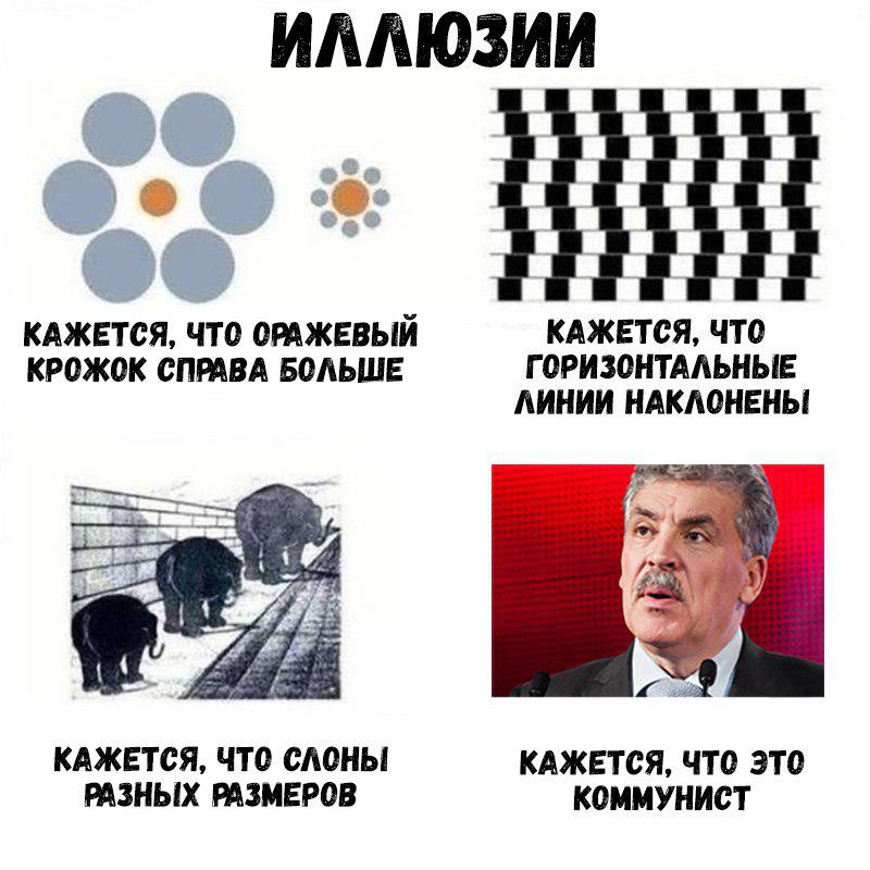 Раскрылась консерва: Павел Грудинин работает с проамериканской НКО «Голос» Раскрылась консерва: Павел Грудинин работает с проамериканской НКО «Голос»