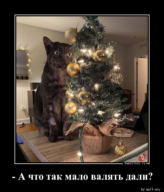 Новая коллекция демотивирующих картинок на любой вкус для всех читателей нашего сайта 