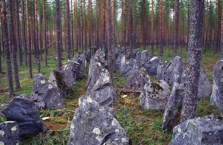 ТАЙНА РУССКОЙ РАЗВЕДКИ: ПЛАН ПОБЕДЫ НА УКРАИНЕ история,разведка