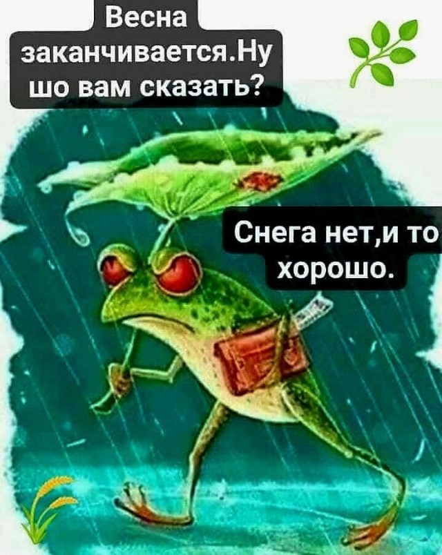 Интернет мемы в воскресение и парковка Интернет мемы в воскресение и парковка