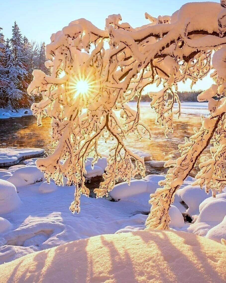 Толлуман Толлуман дети,Истории из жизни,отношения,позитив,эту страну не победить