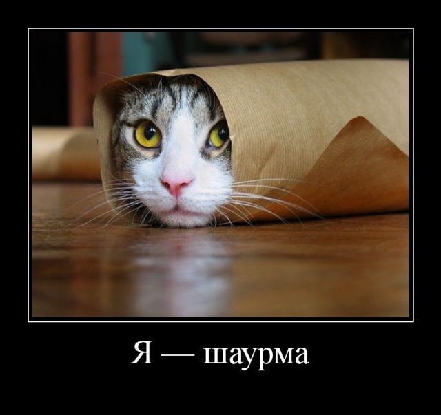 Самые новые демотиваторы Самые новые демотиваторы демотиваторы