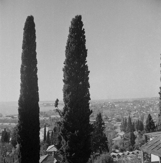 Советский Сухуми 1950-х годов Советский Сухуми 1950-х годов