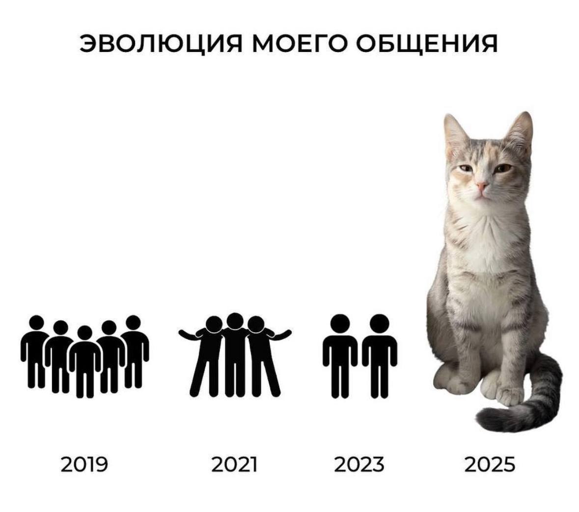 Юмор за день и раздвоение личности 