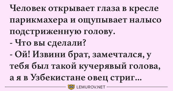 Порция отборного юмора для поднятия настроения 