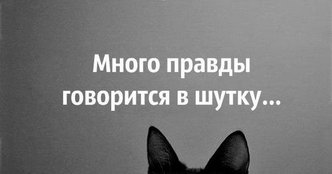 В аптеке. - У вас есть эти… Ну, как их? Ну, которые ипотеку придумали… анекдоты,веселые картинки,демотиваторы,приколы,юмор