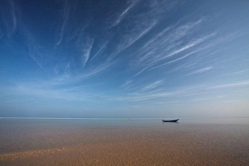 Фотография: Удивительный остров Сокотра №23 - BigPicture.ru